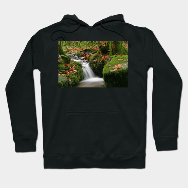 Go With the Flow Hoodie by RoystonVasey